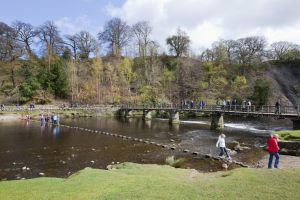 bolton abbey april 15 2012 2 sm.jpg